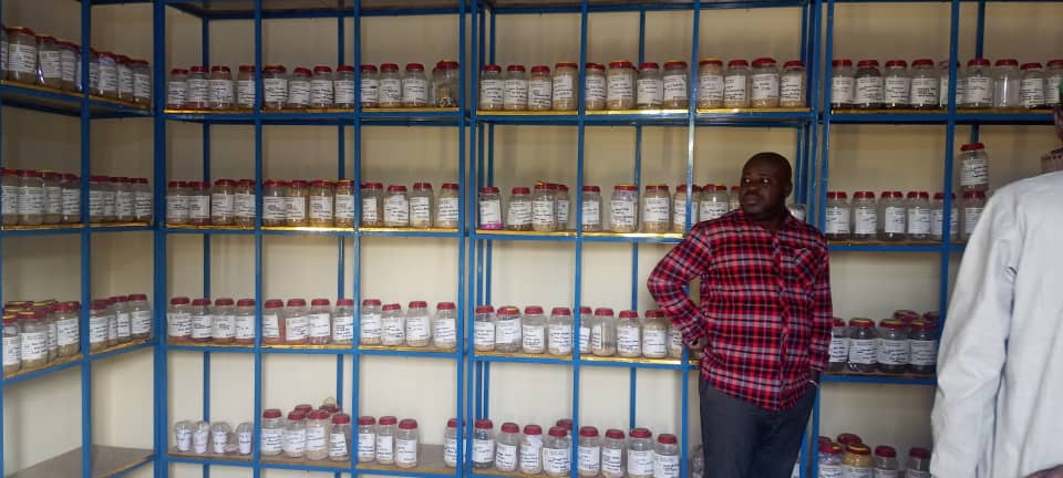 Visite d’échange au Niger (Maradi) sur la gestion de bases de données et la typologie des agriculteurs